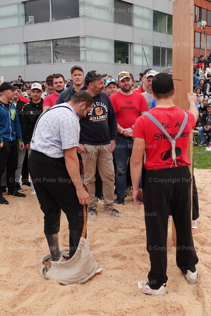 DSC02054 | Schwingen - Realisiert mit Pictrs.com