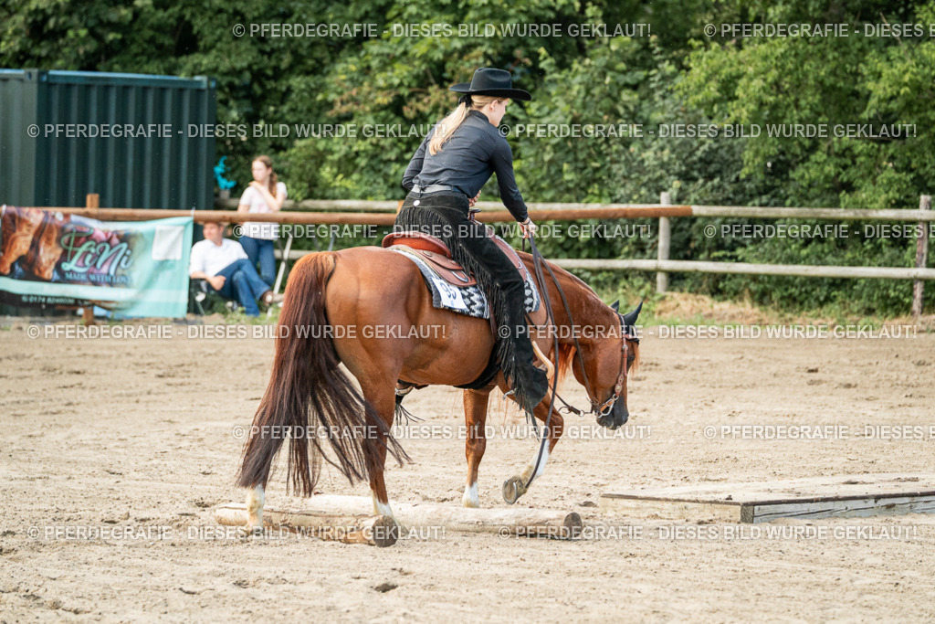 DSC06044 | Pferdegrafie