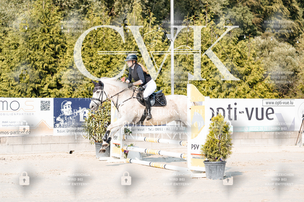 CK902638 | Turnierfotografie Pferdefotografie Trier Rheinland-Pfalz Pferdesport Reitsport Tierfotografie Sportfotografie Pferdevideo Pferdevideografie Equestrianvideography equestrianphotography  - Realisiert mit Pictrs.com