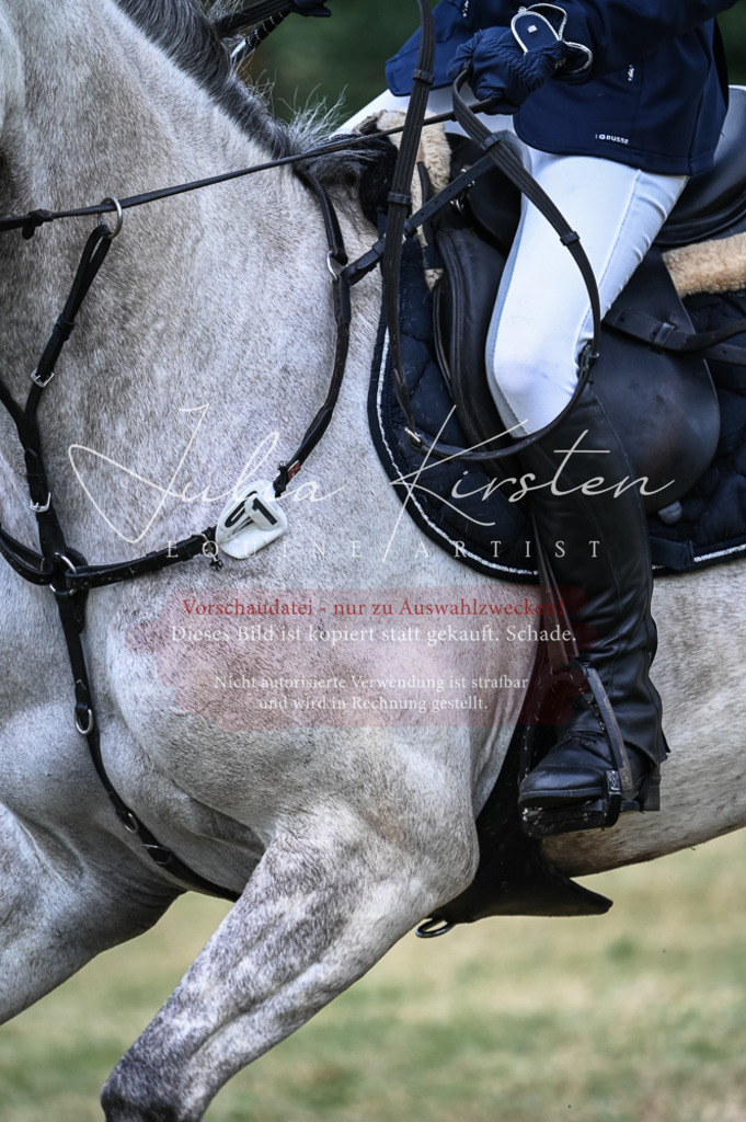 DSC_8153 | Pferde- und Turnierfotografie in Westsachsen. Pferdeportraits, Auftragszeichnungen und intuitive Kunst.