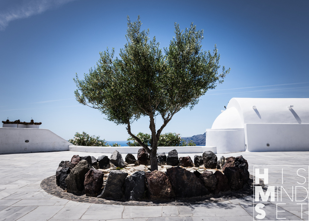 Catree | Finde die Katze auf Santorini - Realisiert mit Pictrs.com