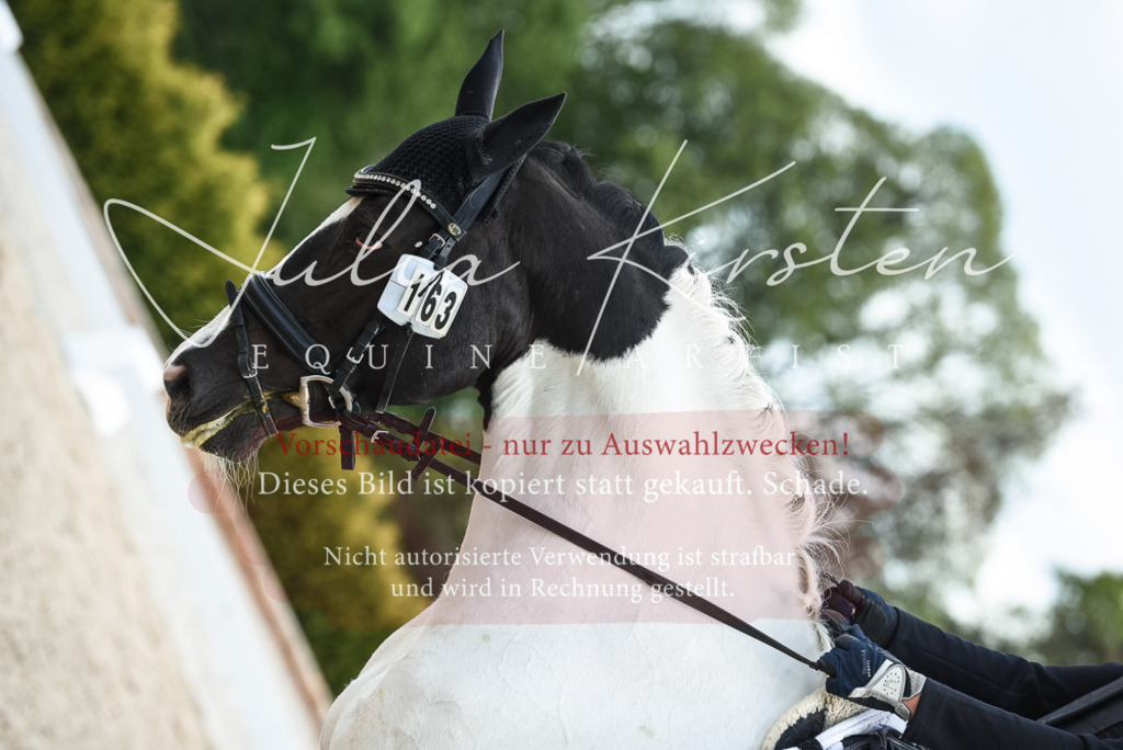 20230518_JK-Röhrsdorf-12-0231 | Pferde- und Turnierfotografie in Westsachsen. Pferdeportraits, Auftragszeichnungen und intuitive Kunst.