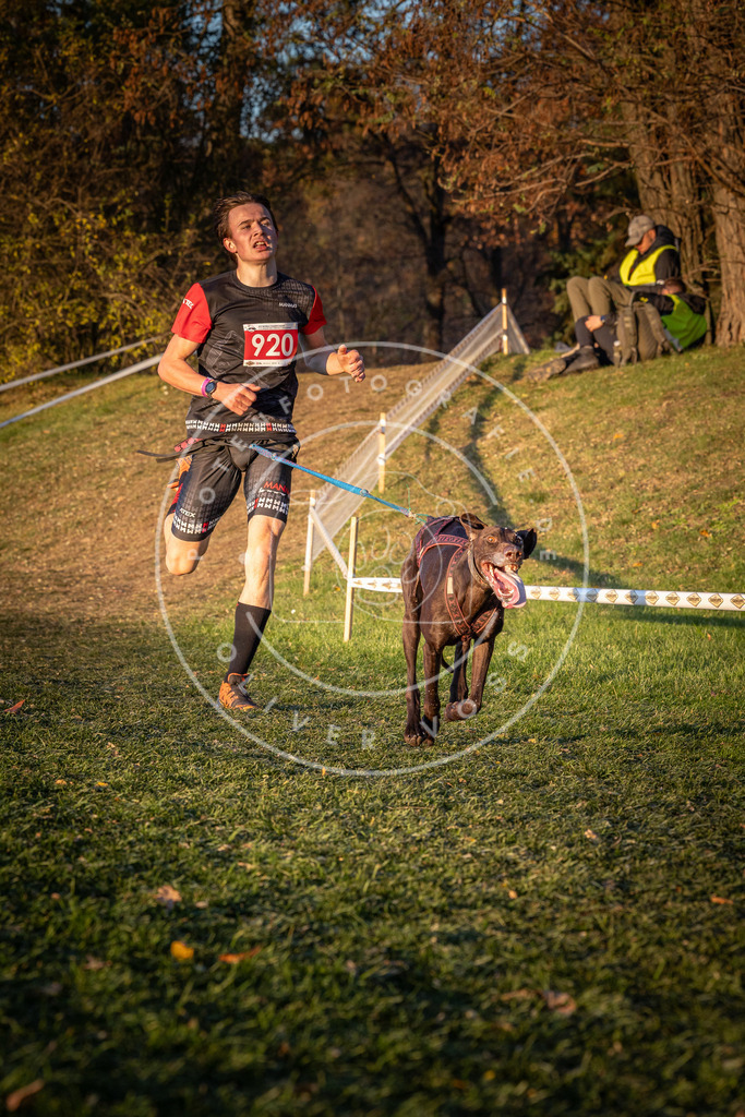 CaniXpix_0L8A1572 | Hundefotografie, Tierfotograf, Pfotenfotografie, Fotoshooting Hund, Hunde Portrait, Hundesport, Hundeportraits, Heideshooting, Hunde, Sportfotograf, Hundefotograf, Turnierhundsport, THS,  - Realisiert mit Pictrs.com