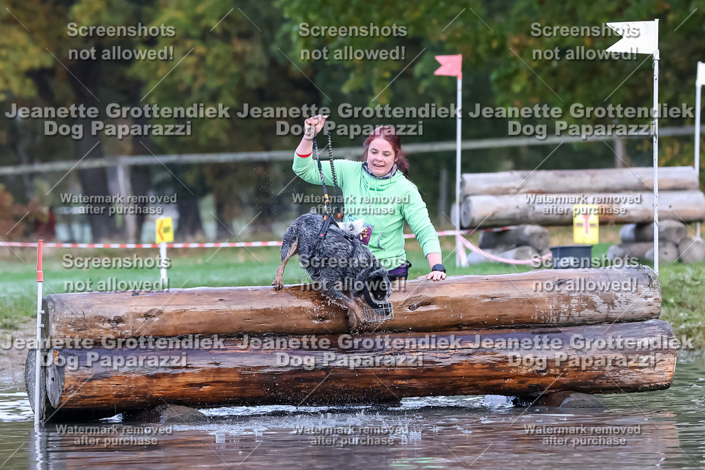 Dog Paparazzi - Strongdog 10-25-6373 | Dog Paparazzi Jeanette Grottendiek Fotografie & Videografie - Realisiert mit Pictrs.com