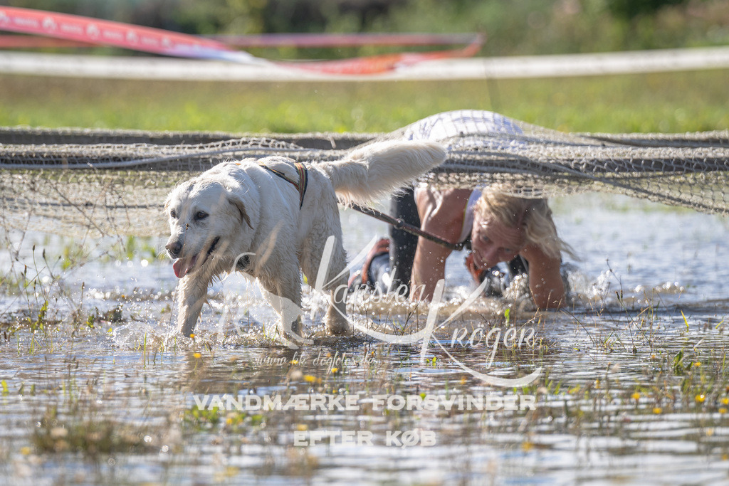 1030_ZZ90331 | kk-dogfotos