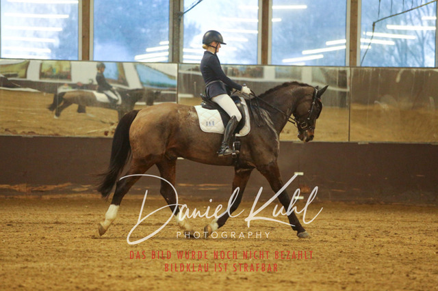 IMG_7016 | Turniersportfotografie; Pferdefotografie; Dressurfotografie