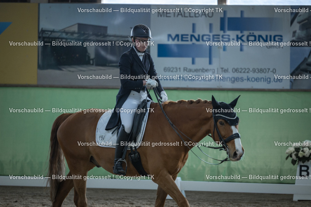 _D5A0480 | Emotionale Pferde- & People-Fotografie rund um Heidelberg, Leimen & Umgebung. Natürliche Fotos von Pferd, Mensch & Familie. Jetzt Termin sichern!