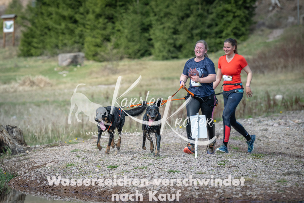 1113_ZZ93374 | kk-dogfotos