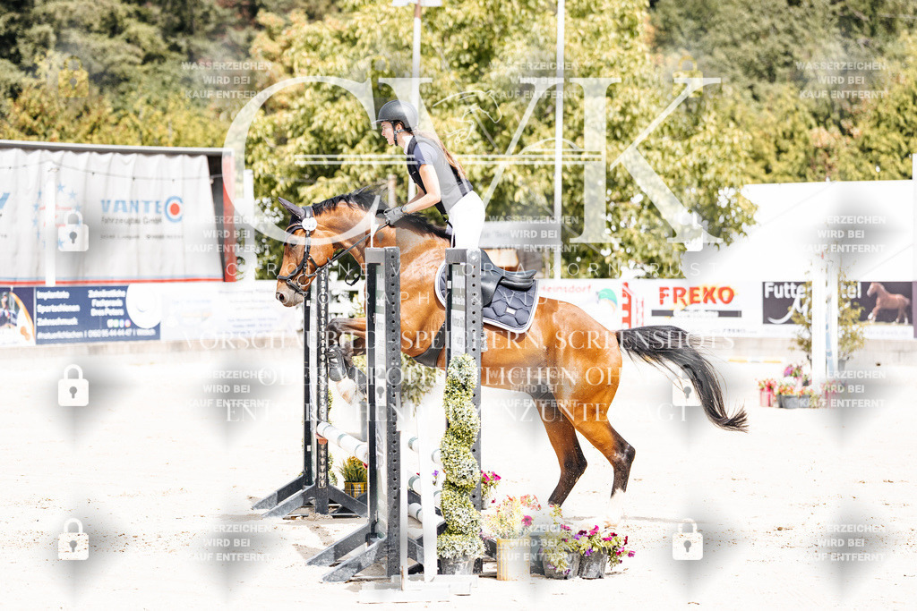 CK906609 | Turnierfotografie Pferdefotografie Trier Rheinland-Pfalz Pferdesport Reitsport Tierfotografie Sportfotografie Pferdevideo Pferdevideografie Equestrianvideography equestrianphotography  - Realisiert mit Pictrs.com