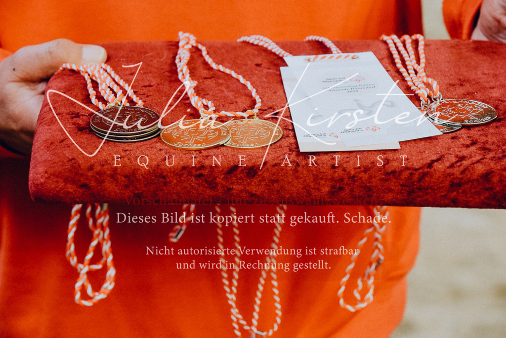 DSC_7114 | Pferde- und Turnierfotografie in Westsachsen. Pferdeportraits, Auftragszeichnungen und intuitive Kunst.