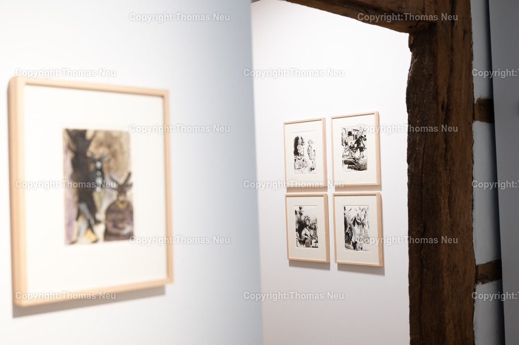 24_Neo_Rauch_Museum_Bensheim | 6.7.2024, bbe, Museum Bensheim, Ausstellung Neo Rauch "im Papiergrund", ,, Bild: Thomas Neu