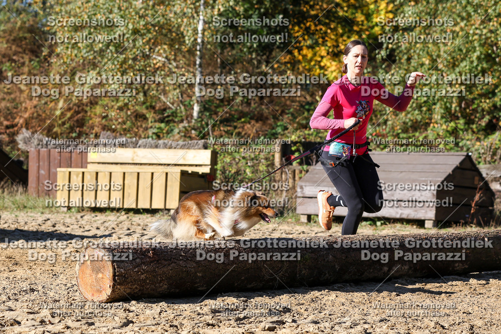 Dog Paparazzi - Strongdog 10-25-2489 | Dog Paparazzi Jeanette Grottendiek Fotografie & Videografie - Realisiert mit Pictrs.com