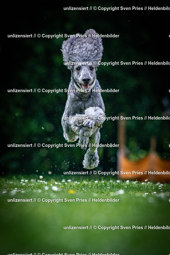 Sven Pries | 2025-05-29 - Pudelrennen KA-Durlach - Realisiert mit Pictrs.com