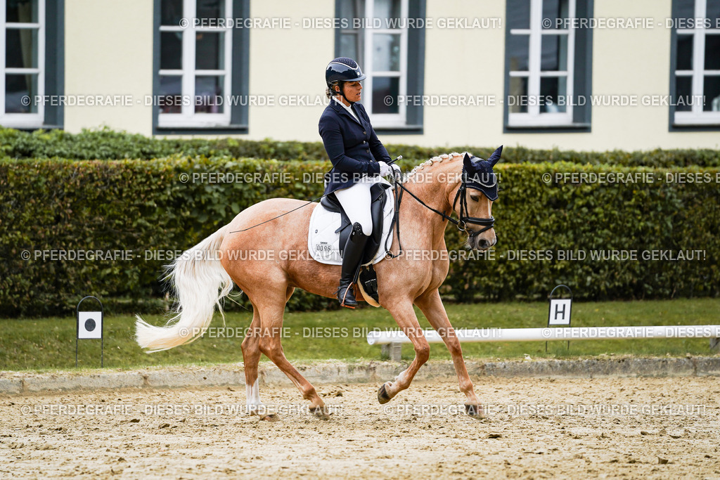 DSC09084 | Pferdegrafie