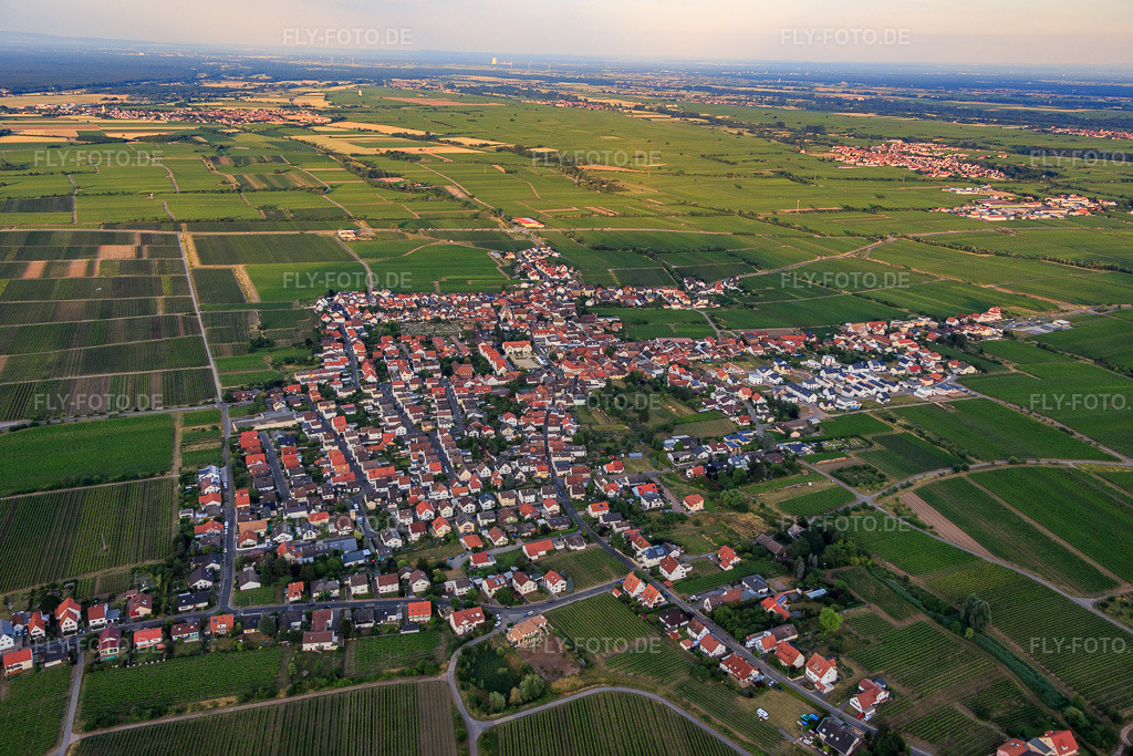 Luftbild: Winzerdorf am Haardtrand aus Westen im Ortsteil Diedesfeld in Neustadt im Bundesland Rheinland-Pfalz in Deutschland. Foto: IMG_082757.jpg vom 25.06.2015 durch Werner Riehm/FLY-FOTO.de