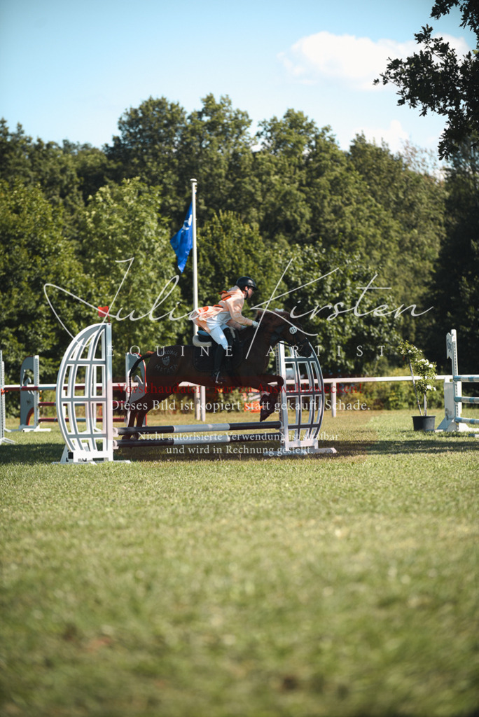 DSC_7377 | Pferde- und Turnierfotografie in Westsachsen. Pferdeportraits, Auftragszeichnungen und intuitive Kunst.
