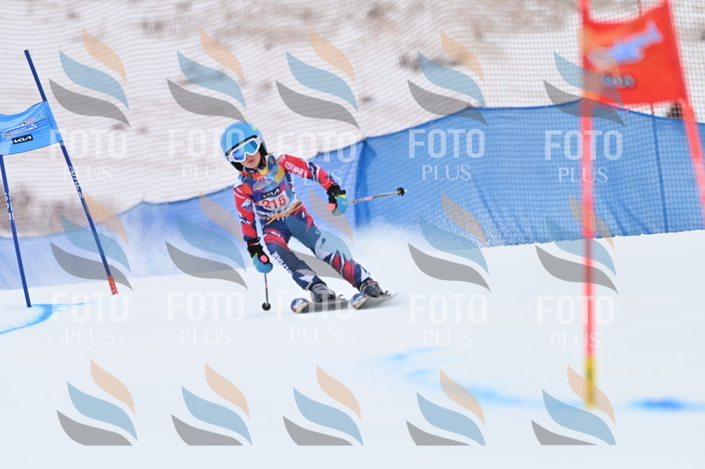 BGV_2920 | holidayphoto