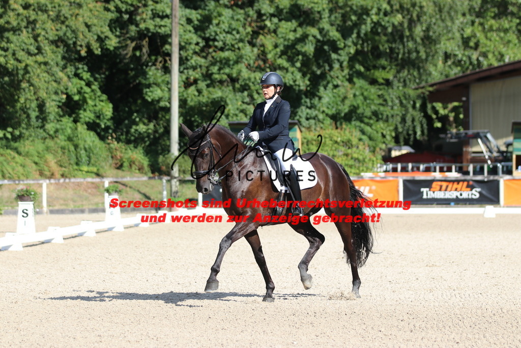 IMG_1195 | lmwpictures - Realisiert mit Pictrs.com