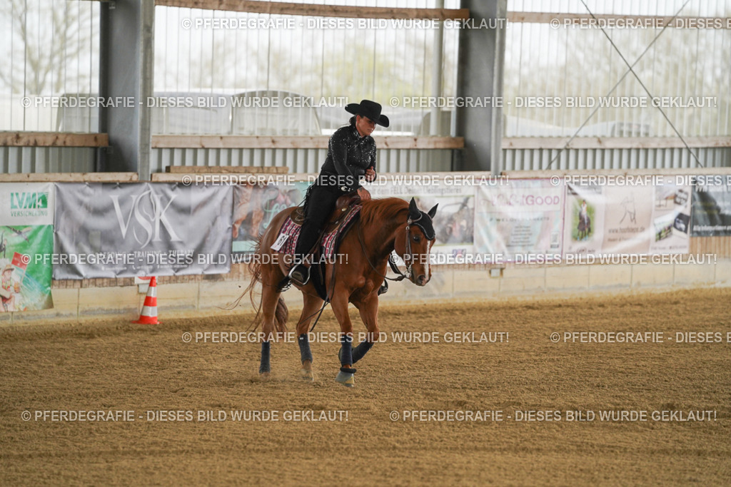 DSC06965 | Pferdegrafie