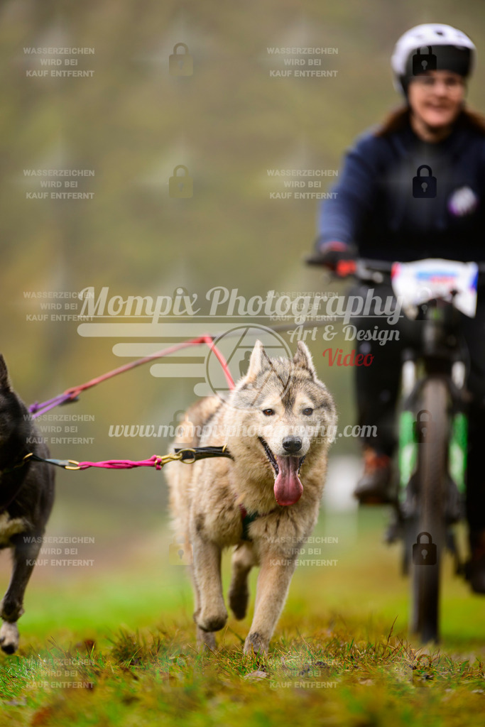 MompixPhotography_Bischwiller2025_Bike-153 | mompixphotography