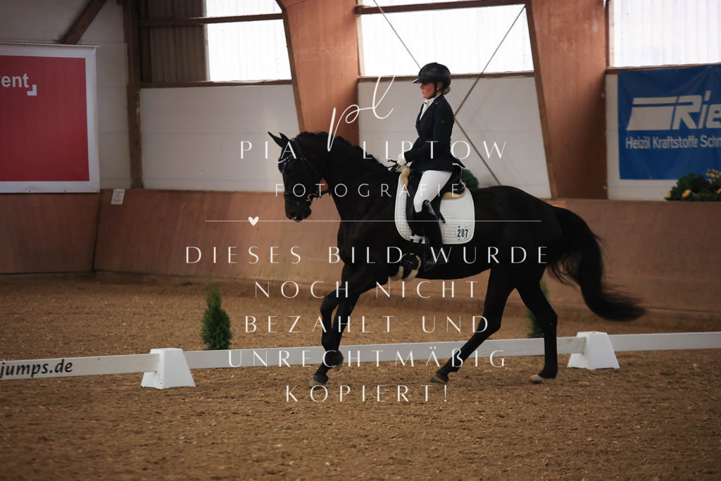 IMGT6931 | pl-fotografie