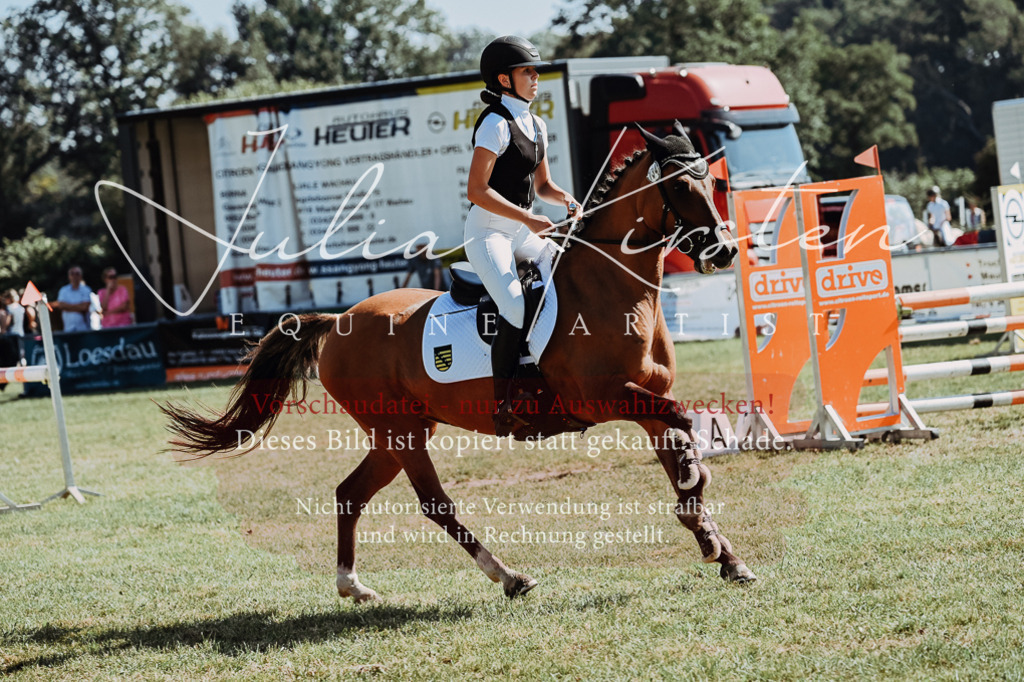 DSC_6133 | Pferde- und Turnierfotografie in Westsachsen. Pferdeportraits, Auftragszeichnungen und intuitive Kunst.
