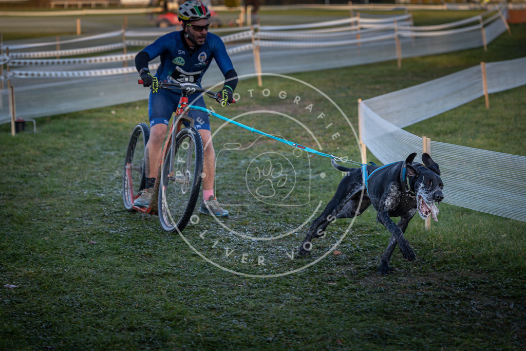 CaniXpix_0L8A1660 | Hundefotografie, Tierfotograf, Pfotenfotografie, Fotoshooting Hund, Hunde Portrait, Hundesport, Hundeportraits, Heideshooting, Hunde, Sportfotograf, Hundefotograf, Turnierhundsport, THS,  - Realisiert mit Pictrs.com