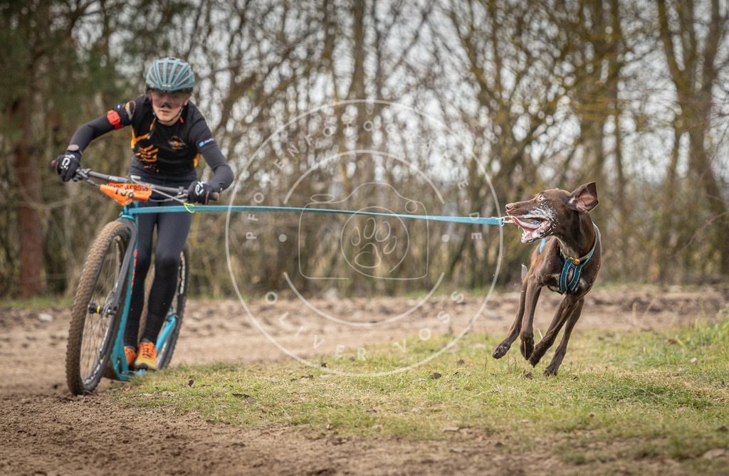Pfotenfotografie_DV3A9096 | Hundefotografie, Tierfotograf, Pfotenfotografie, Fotoshooting Hund, Hunde Portrait, Hundesport, Hundeportraits, Heideshooting, Hunde, Sportfotograf, Hundefotograf, Turnierhundsport, THS,  - Realisiert mit Pictrs.com