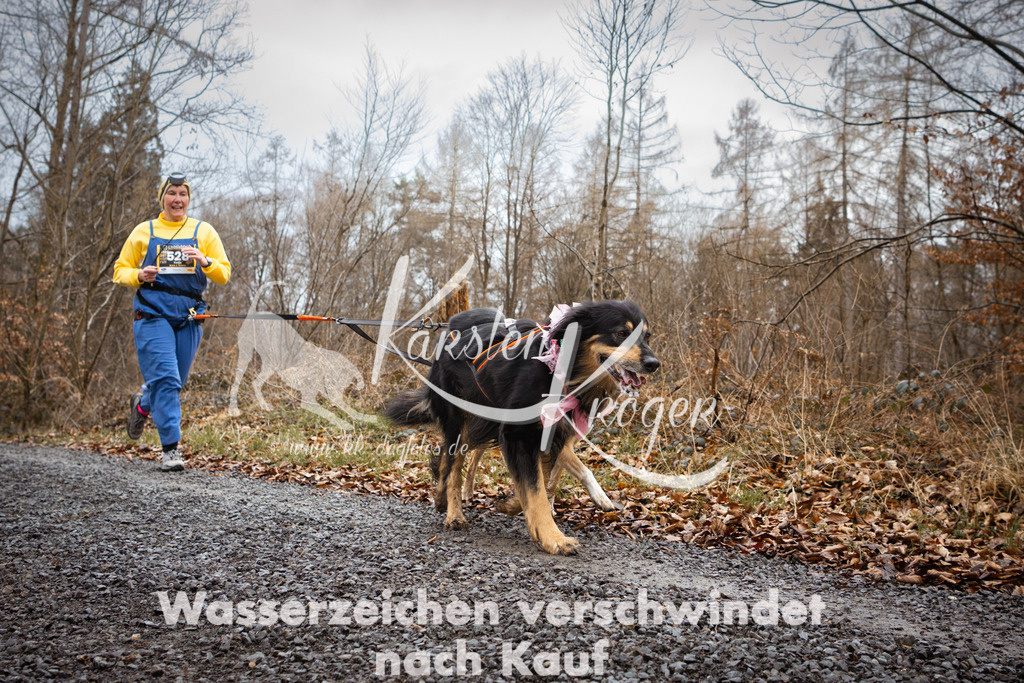 1057_ZZ98429 | kk-dogfotos