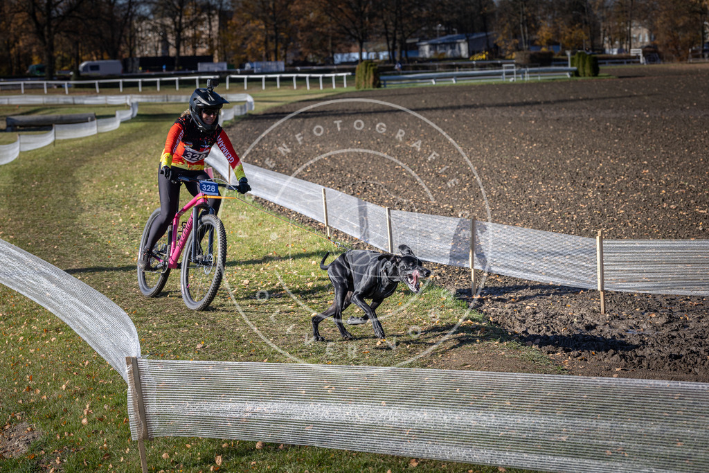 CaniXpix_DV3A6679 | Hundefotografie, Tierfotograf, Pfotenfotografie, Fotoshooting Hund, Hunde Portrait, Hundesport, Hundeportraits, Heideshooting, Hunde, Sportfotograf, Hundefotograf, Turnierhundsport, THS,  - Realisiert mit Pictrs.com