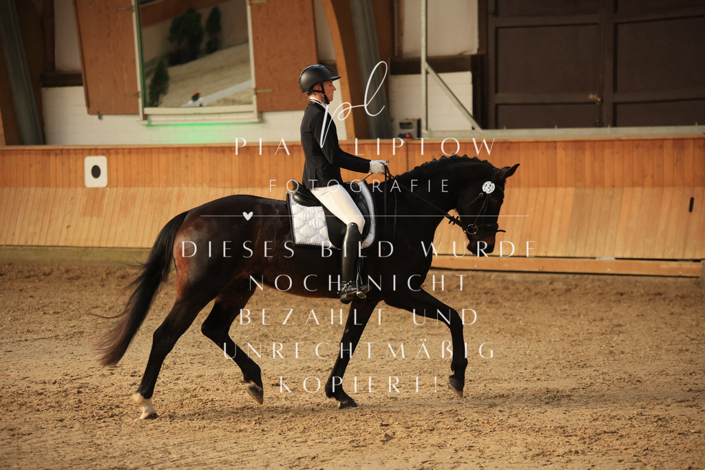 IMGT1843 | pl-fotografie