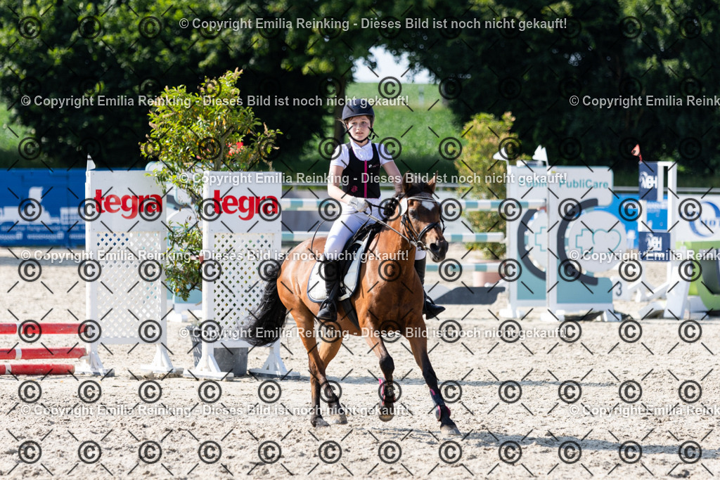 CL5A1225 | Emilia Reinking Fotografie - Realisiert mit Pictrs.com