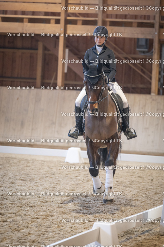 _D5A4805 | Emotionale Pferde- & People-Fotografie rund um Heidelberg, Leimen & Umgebung. Natürliche Fotos von Pferd, Mensch & Familie. Jetzt Termin sichern!