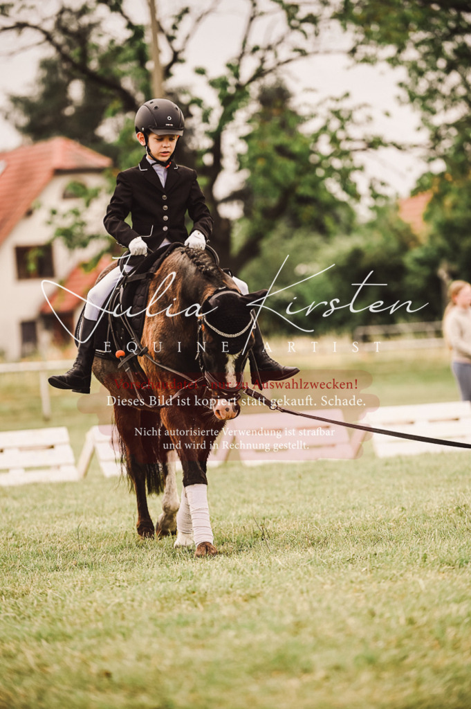 DSC_5303 | Pferde- und Turnierfotografie in Westsachsen. Pferdeportraits, Auftragszeichnungen und intuitive Kunst.
