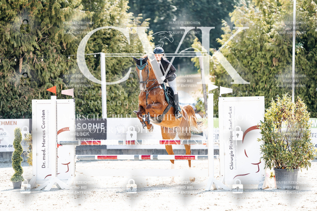 CK909363 | Turnierfotografie Pferdefotografie Trier Rheinland-Pfalz Pferdesport Reitsport Tierfotografie Sportfotografie Pferdevideo Pferdevideografie Equestrianvideography equestrianphotography  - Realisiert mit Pictrs.com