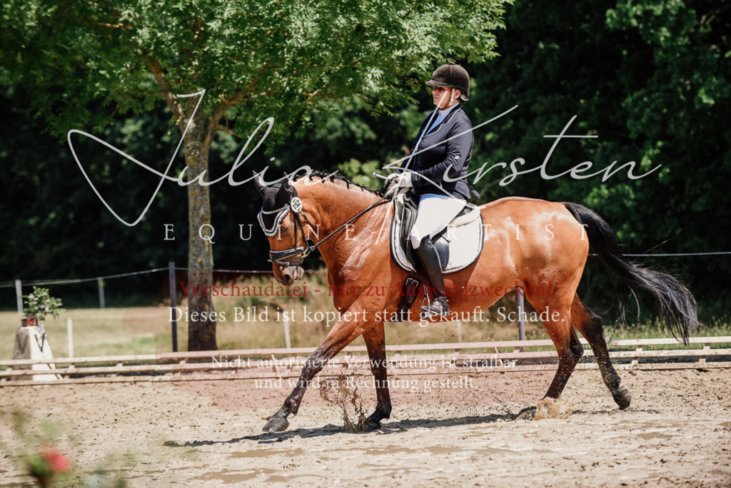DSC_2013 | Pferde- und Turnierfotografie in Westsachsen. Pferdeportraits, Auftragszeichnungen und intuitive Kunst.