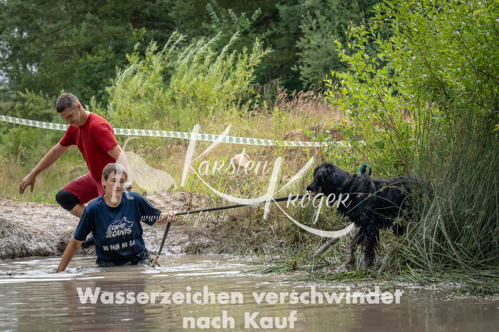 1455_ZZ94367 | kk-dogfotos