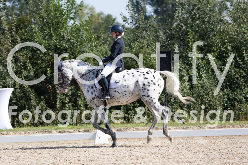 IMG_4686 | Creatify Fotografie