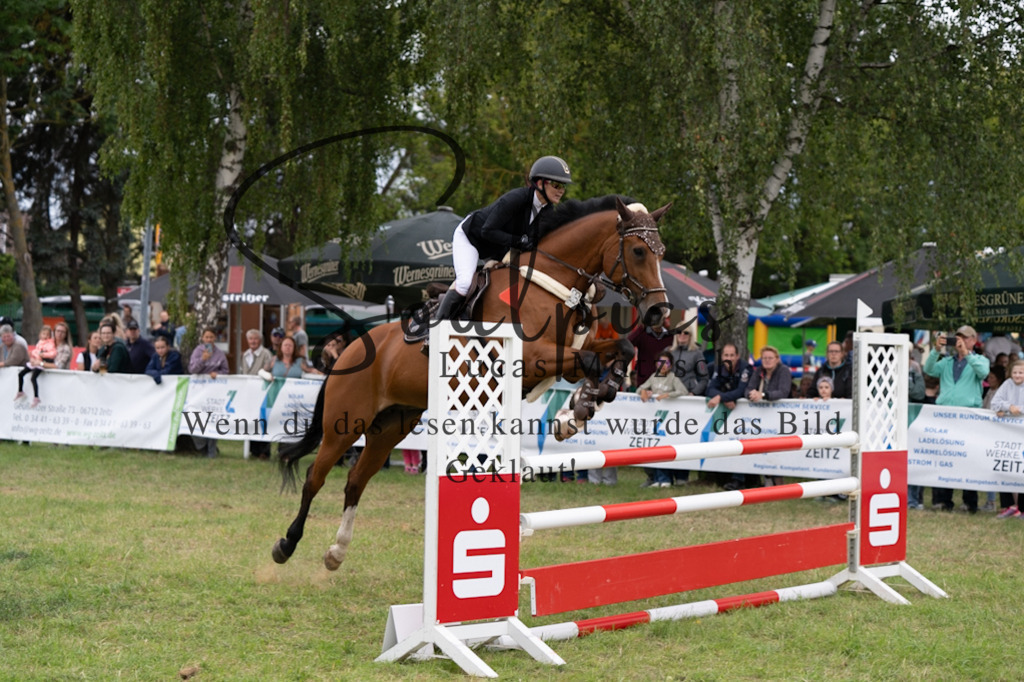 A7V06011 | Pferdefotograf