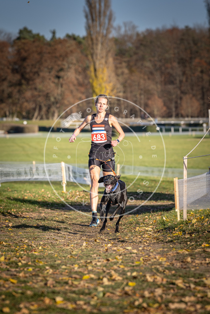 CaniXpix_DV3A1123 | Hundefotografie, Tierfotograf, Pfotenfotografie, Fotoshooting Hund, Hunde Portrait, Hundesport, Hundeportraits, Heideshooting, Hunde, Sportfotograf, Hundefotograf, Turnierhundsport, THS,  - Realisiert mit Pictrs.com