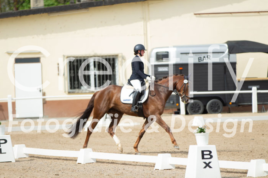 IMG_1649 | Creatify Fotografie