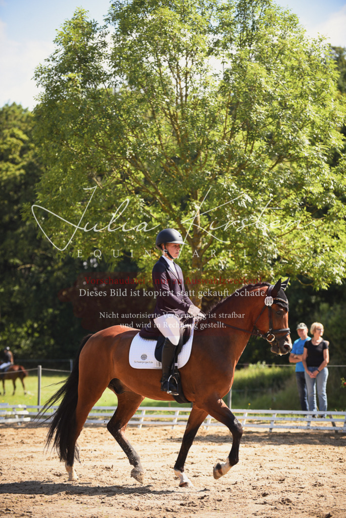DSC_0553 | Pferde- und Turnierfotografie in Westsachsen. Pferdeportraits, Auftragszeichnungen und intuitive Kunst.