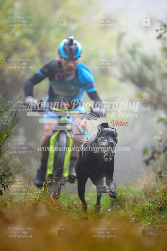 MompixPhotography_20TSB_E4_Bike-21 | PayLife