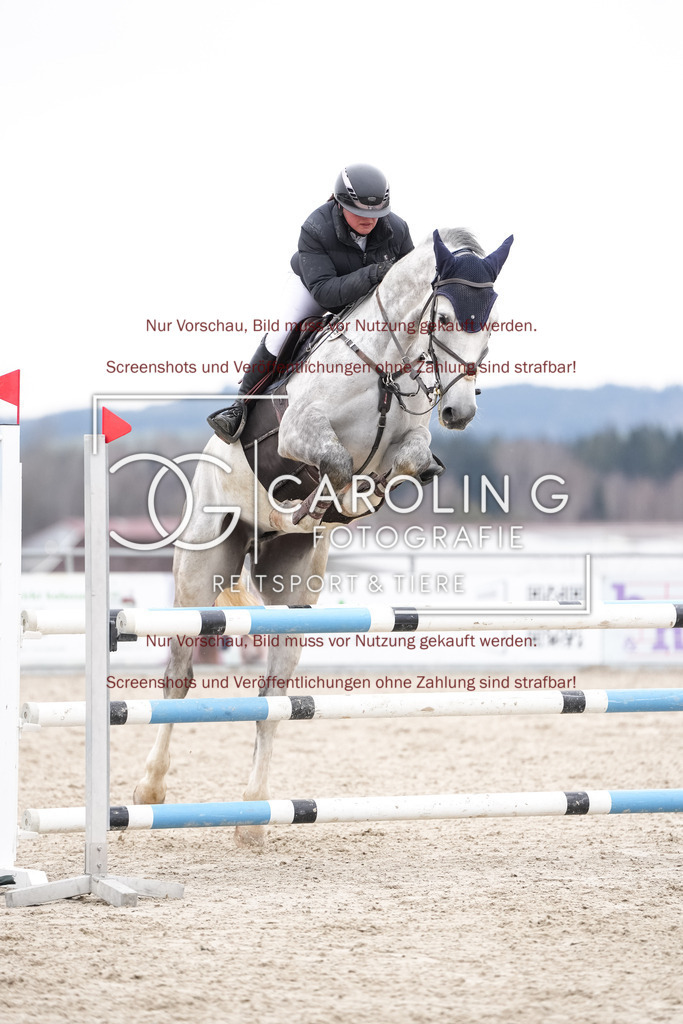 DSC07025 | New Star - F, Kathrine_Wingerter