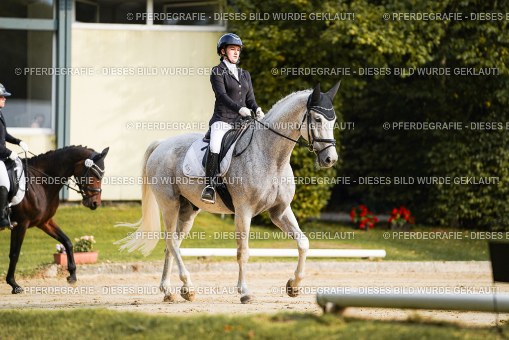 DSC05594 | Pferdegrafie