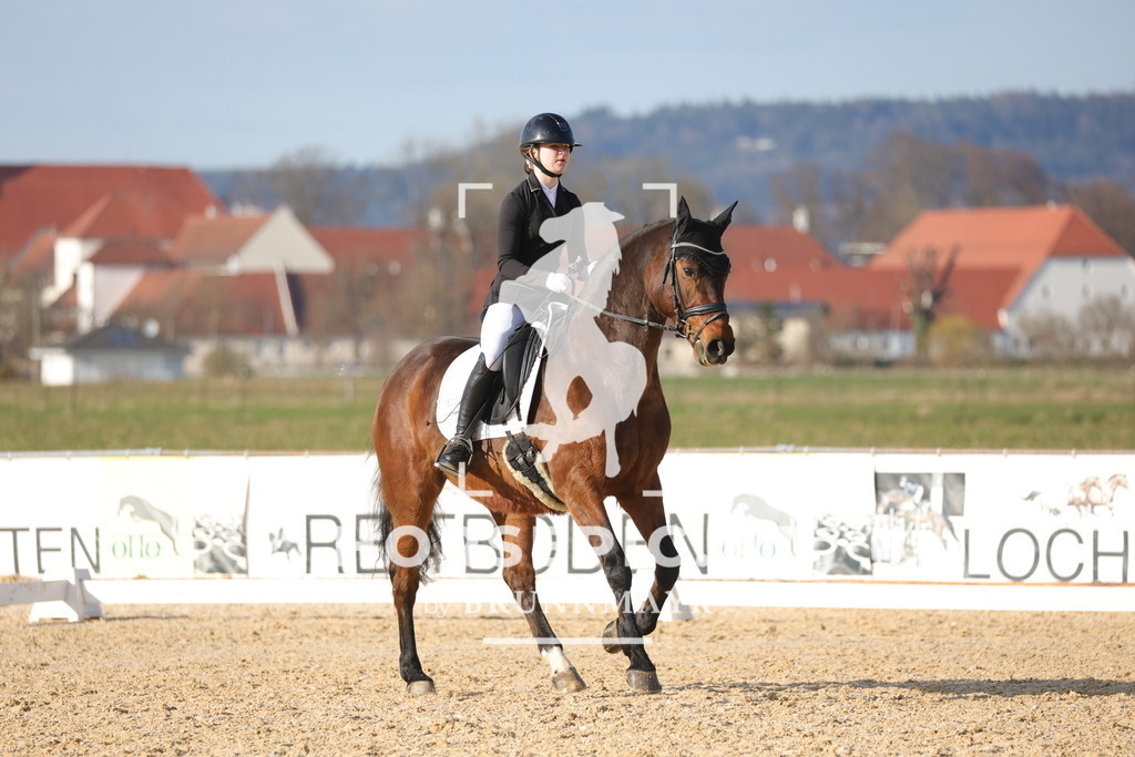 0P6A7960 | Willkommen bei Brunnmayr - Design & Fotografie – Ihrem Spezialisten für Reitturniere und Pferdeveranstaltungen in Oberösterreich, Salzburg und Bayern! Seit über 17 Jahren sind wir leidenschaftlich dabei.