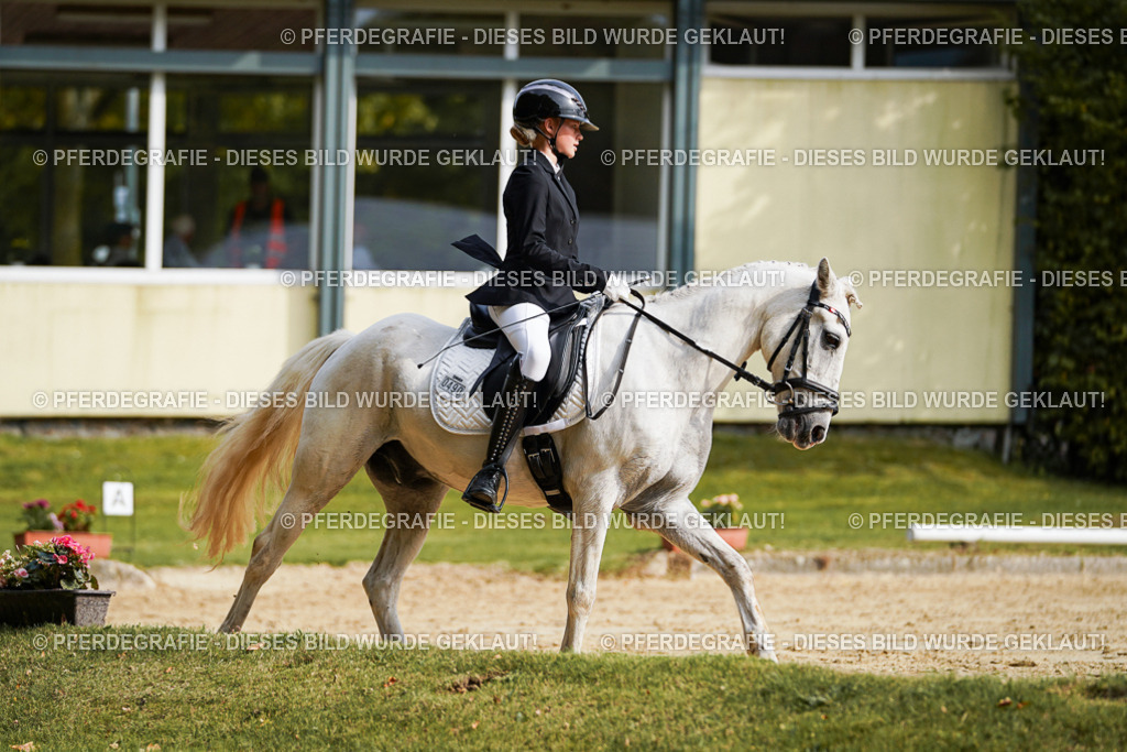 DSC04566 | Pferdegrafie