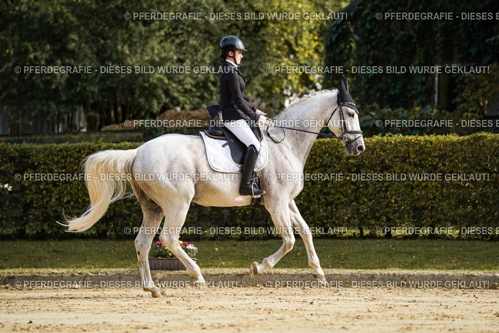 DSC05671 | Pferdegrafie
