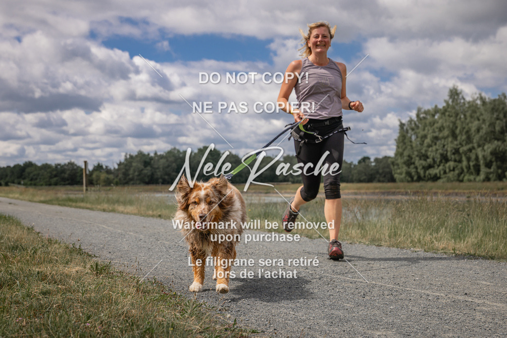 nelerasche_BuHu2026_SaCC1100-1200_93 | nelerasche