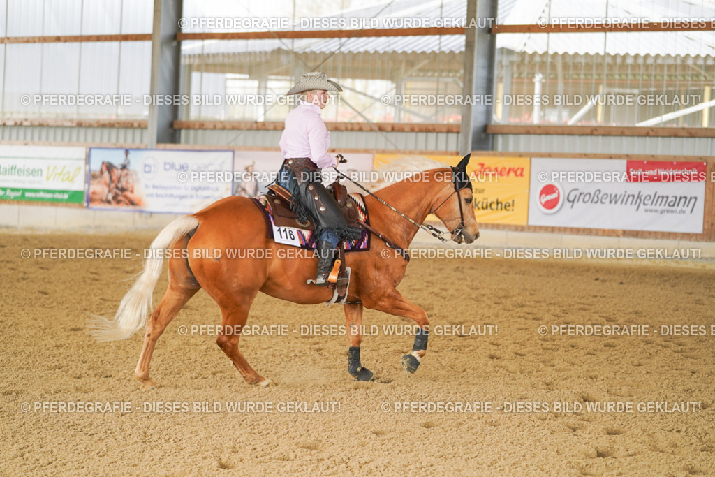 DSC02904 | Pferdegrafie